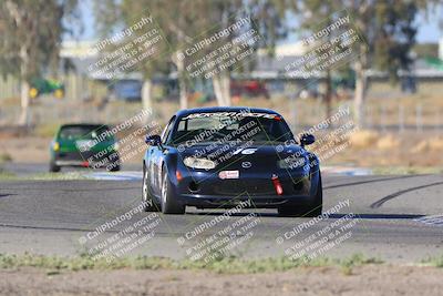 media/Oct-14-2023-CalClub SCCA (Sat) [[0628d965ec]]/Group 6/Race/